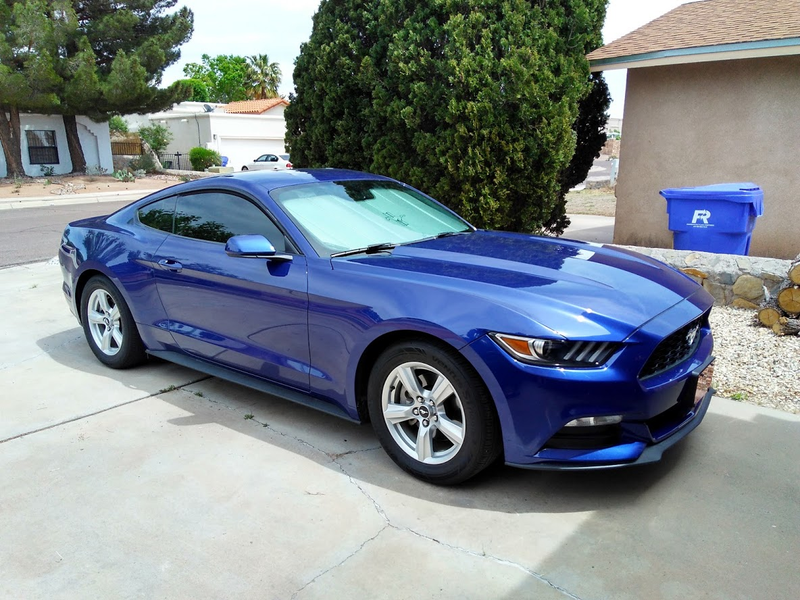 Illustration for article titled Mustang: Svended